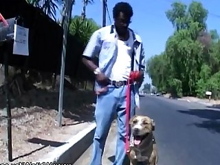 Anale Grosso cazzo Puma Casalinga Innocente Interrazziale Amante MILF